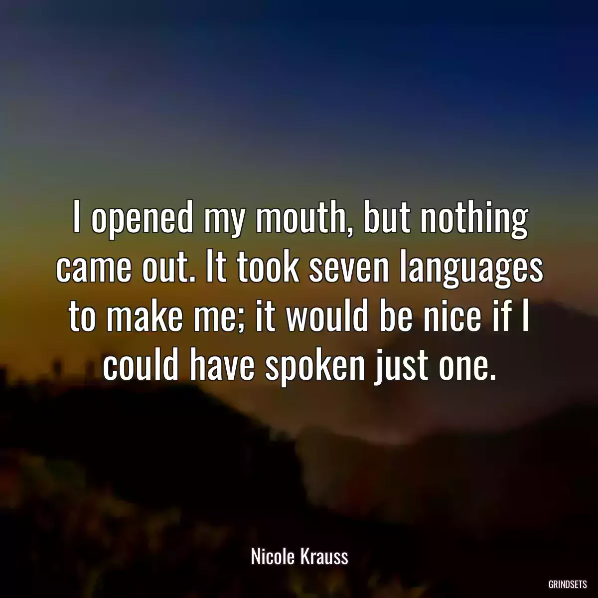 I opened my mouth, but nothing came out. It took seven languages to make me; it would be nice if I could have spoken just one.