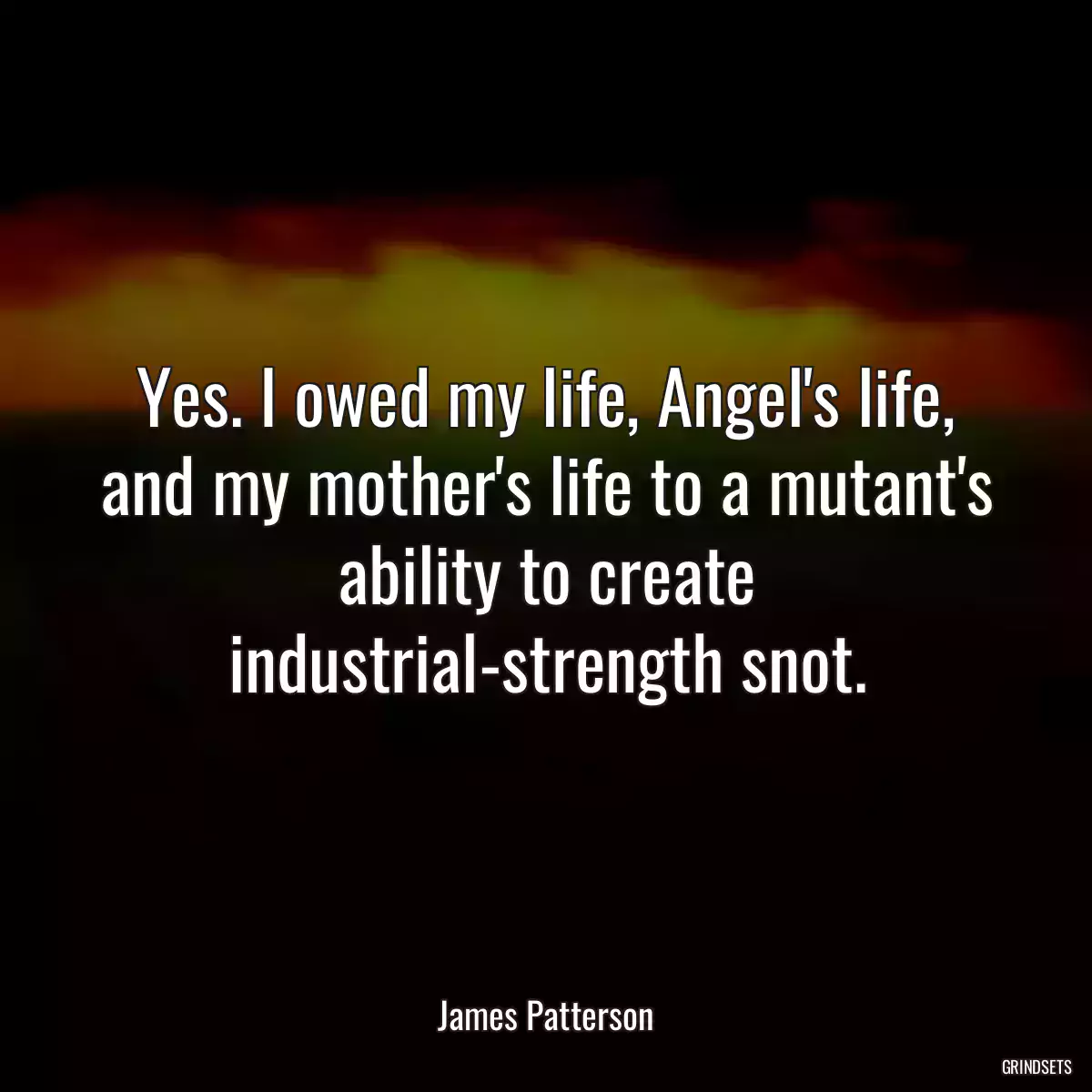 Yes. I owed my life, Angel\'s life, and my mother\'s life to a mutant\'s ability to create industrial-strength snot.