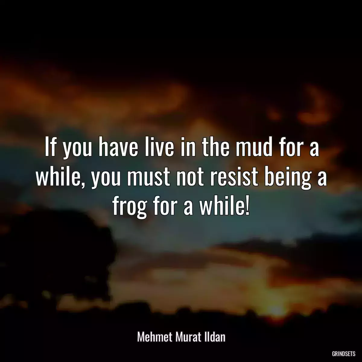 If you have live in the mud for a while, you must not resist being a frog for a while!