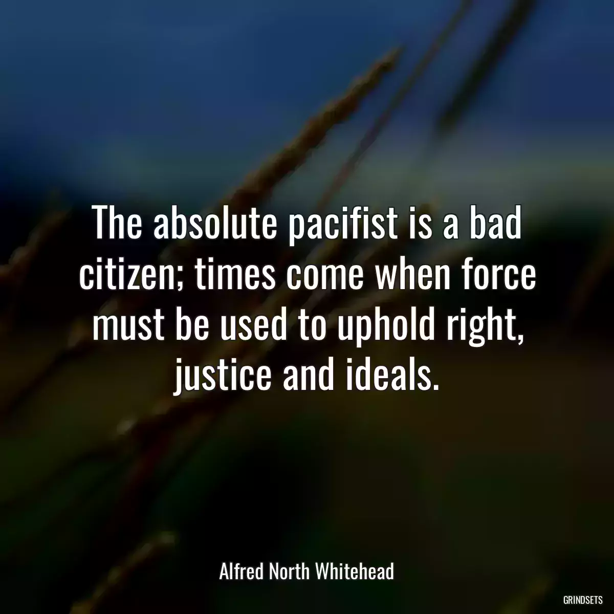 The absolute pacifist is a bad citizen; times come when force must be used to uphold right, justice and ideals.