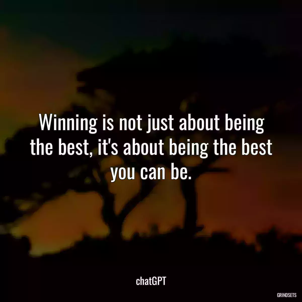 Winning is not just about being the best, it\'s about being the best you can be.