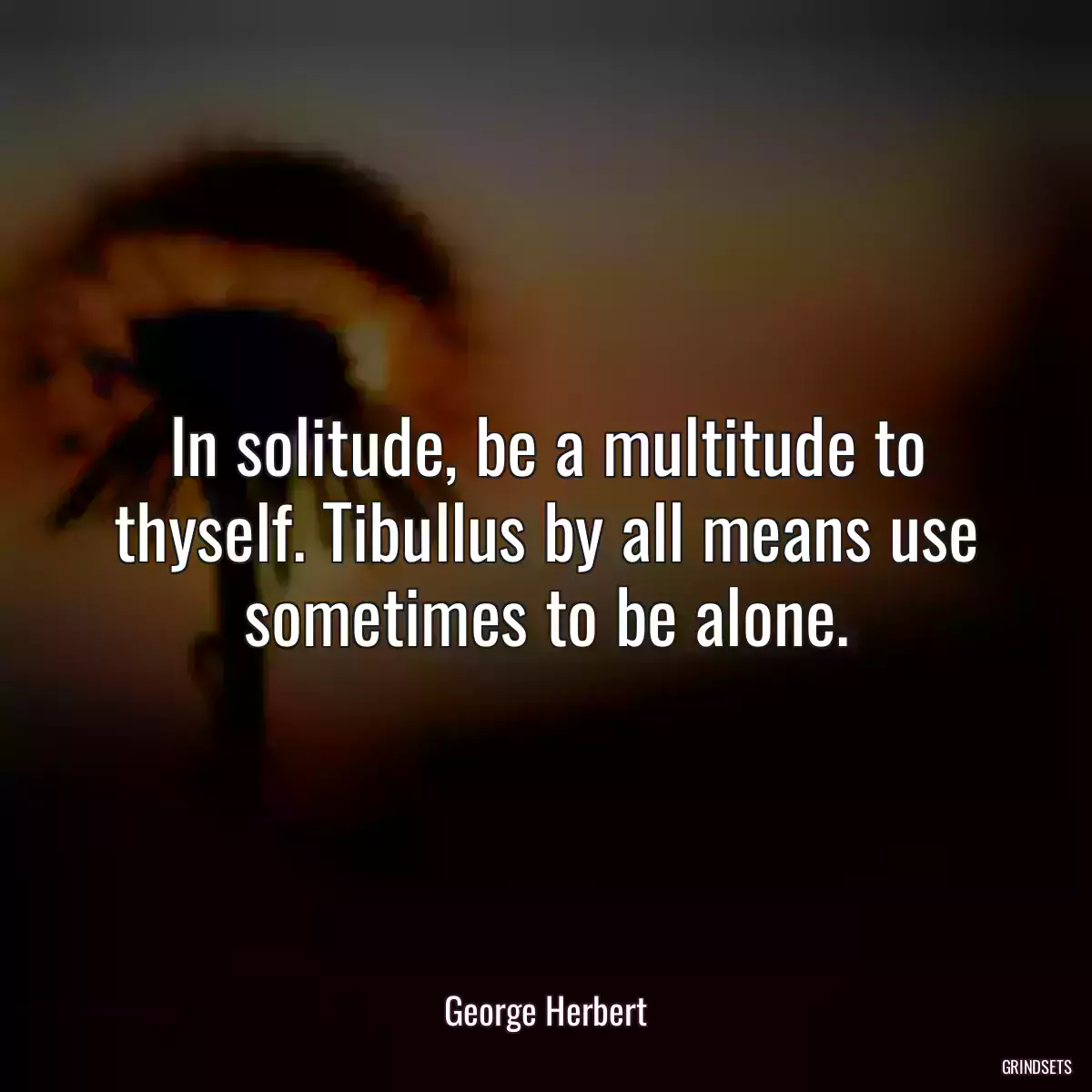 In solitude, be a multitude to thyself. Tibullus by all means use sometimes to be alone.