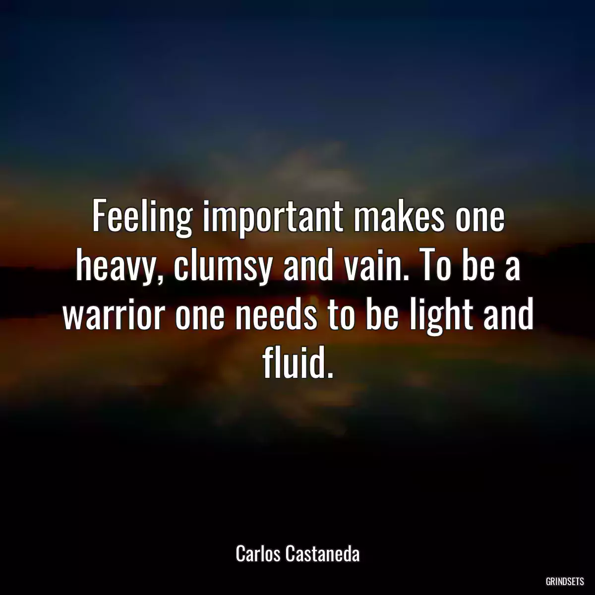 Feeling important makes one heavy, clumsy and vain. To be a warrior one needs to be light and fluid.