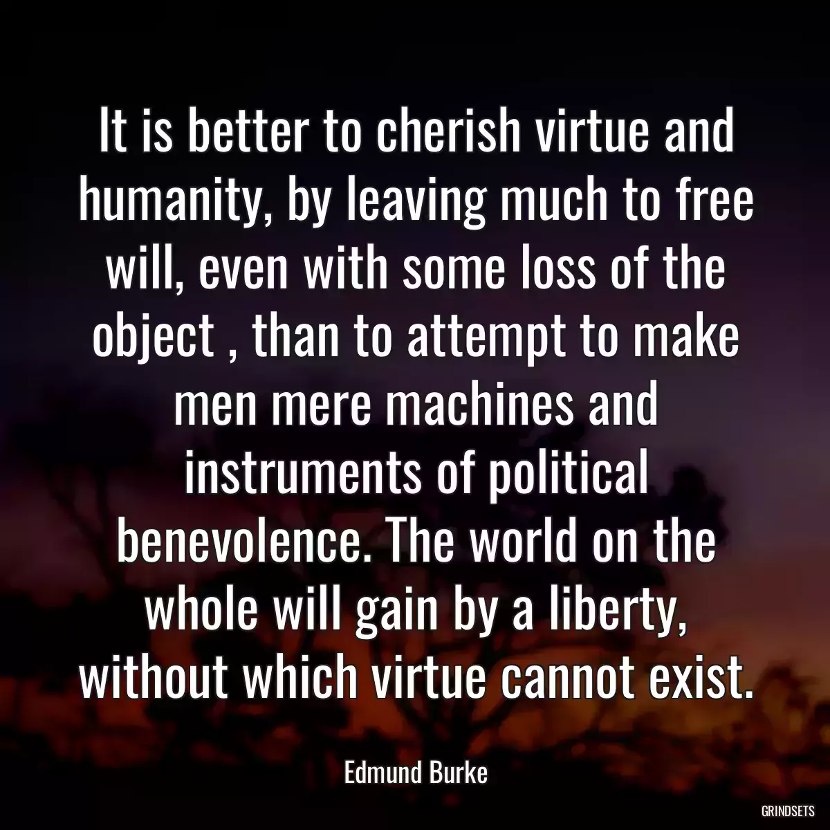 It is better to cherish virtue and humanity, by leaving much to free will, even with some loss of the object , than to attempt to make men mere machines and instruments of political benevolence. The world on the whole will gain by a liberty, without which virtue cannot exist.