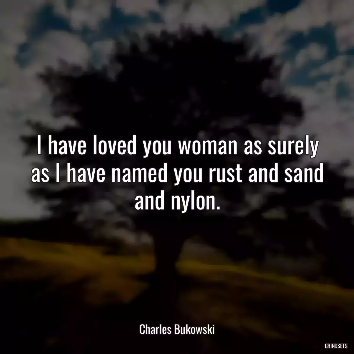 I have loved you woman as surely as I have named you rust and sand and nylon.