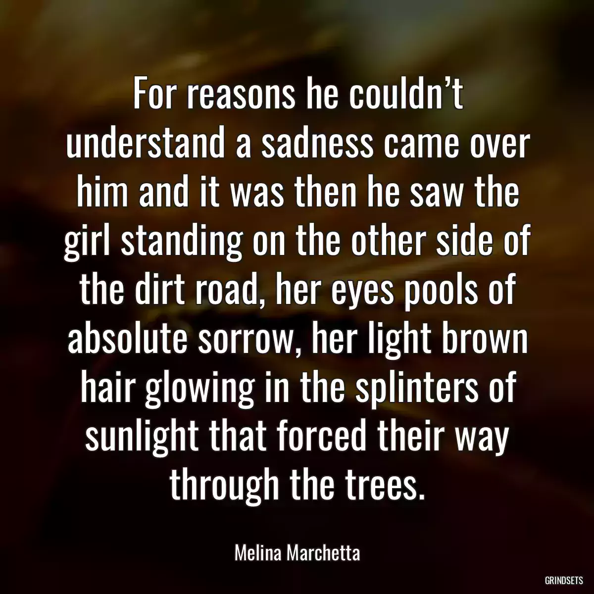 For reasons he couldn’t understand a sadness came over him and it was then he saw the girl standing on the other side of the dirt road, her eyes pools of absolute sorrow, her light brown hair glowing in the splinters of sunlight that forced their way through the trees.