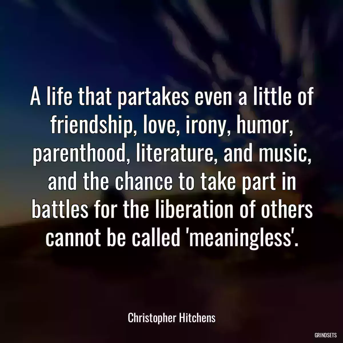 A life that partakes even a little of friendship, love, irony, humor, parenthood, literature, and music, and the chance to take part in battles for the liberation of others cannot be called \'meaningless\'.