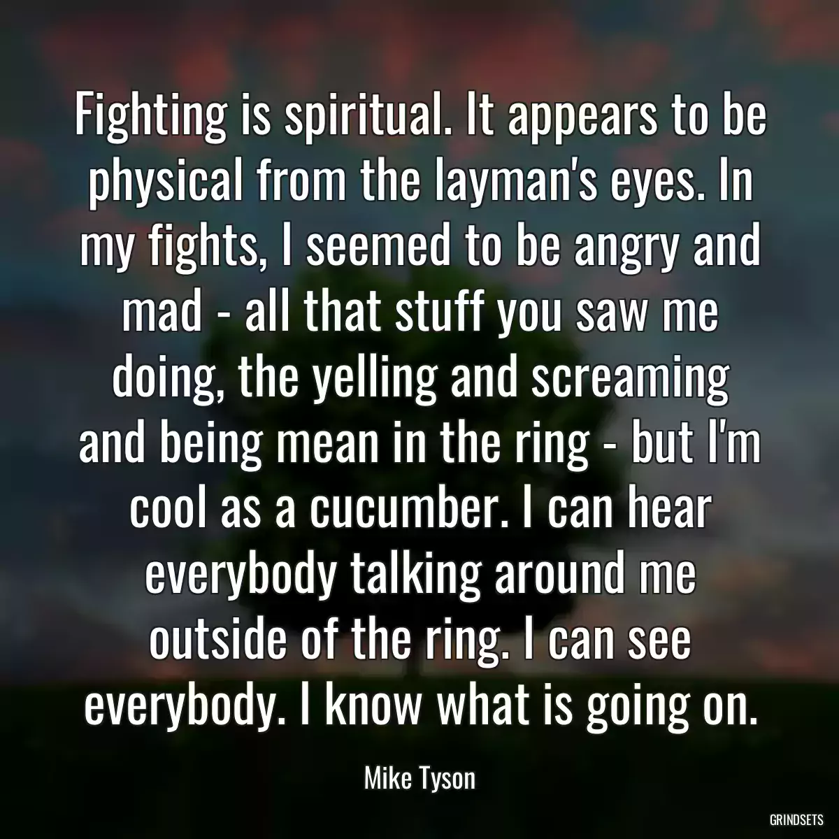 Fighting is spiritual. It appears to be physical from the layman\'s eyes. In my fights, I seemed to be angry and mad - all that stuff you saw me doing, the yelling and screaming and being mean in the ring - but I\'m cool as a cucumber. I can hear everybody talking around me outside of the ring. I can see everybody. I know what is going on.