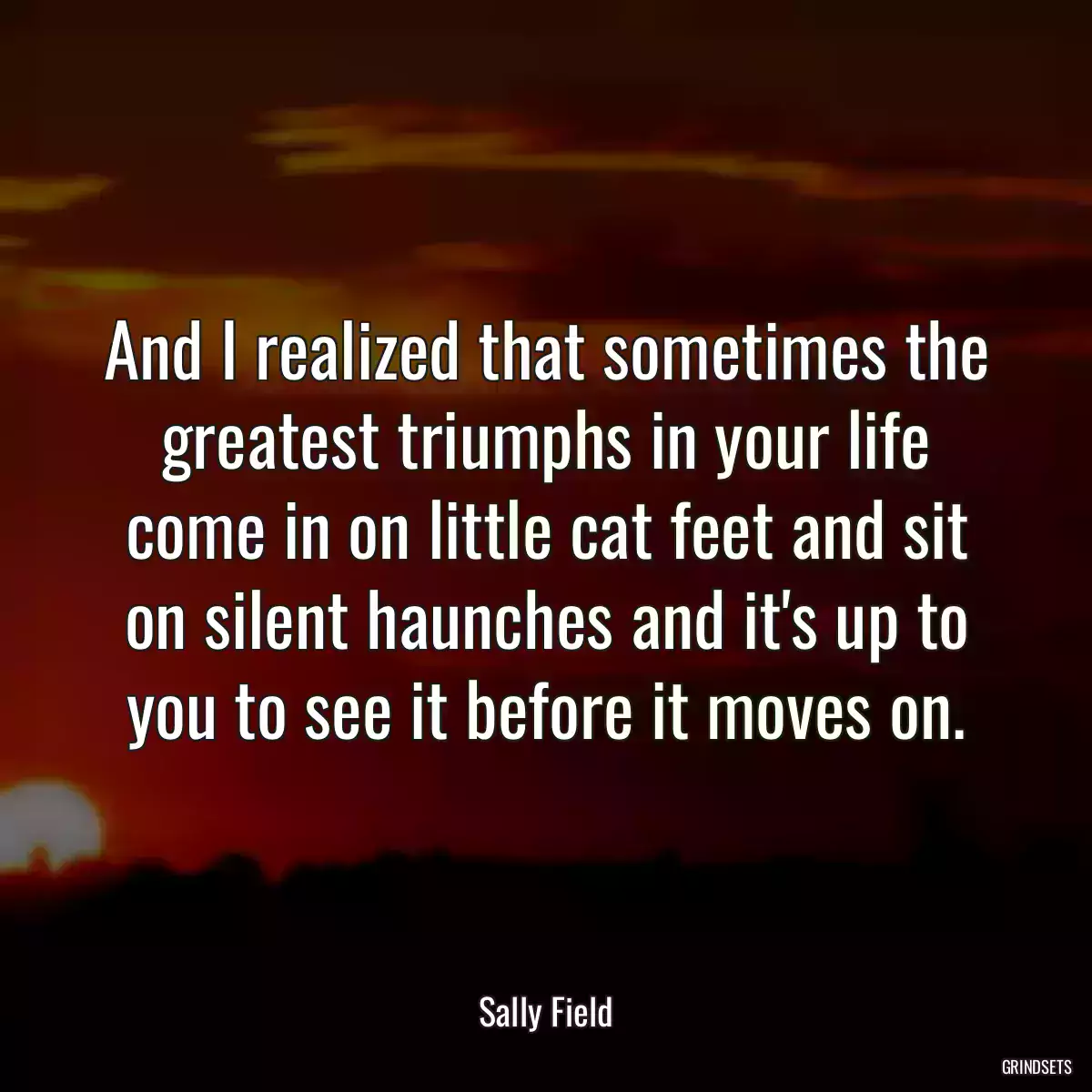 And I realized that sometimes the greatest triumphs in your life come in on little cat feet and sit on silent haunches and it\'s up to you to see it before it moves on.