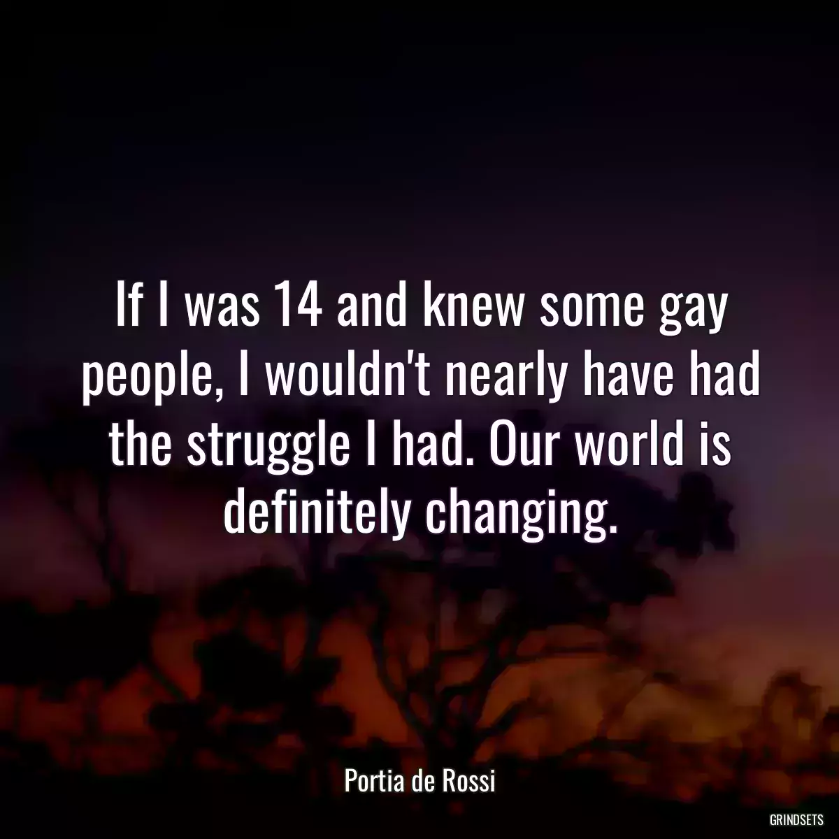 If I was 14 and knew some gay people, I wouldn\'t nearly have had the struggle I had. Our world is definitely changing.