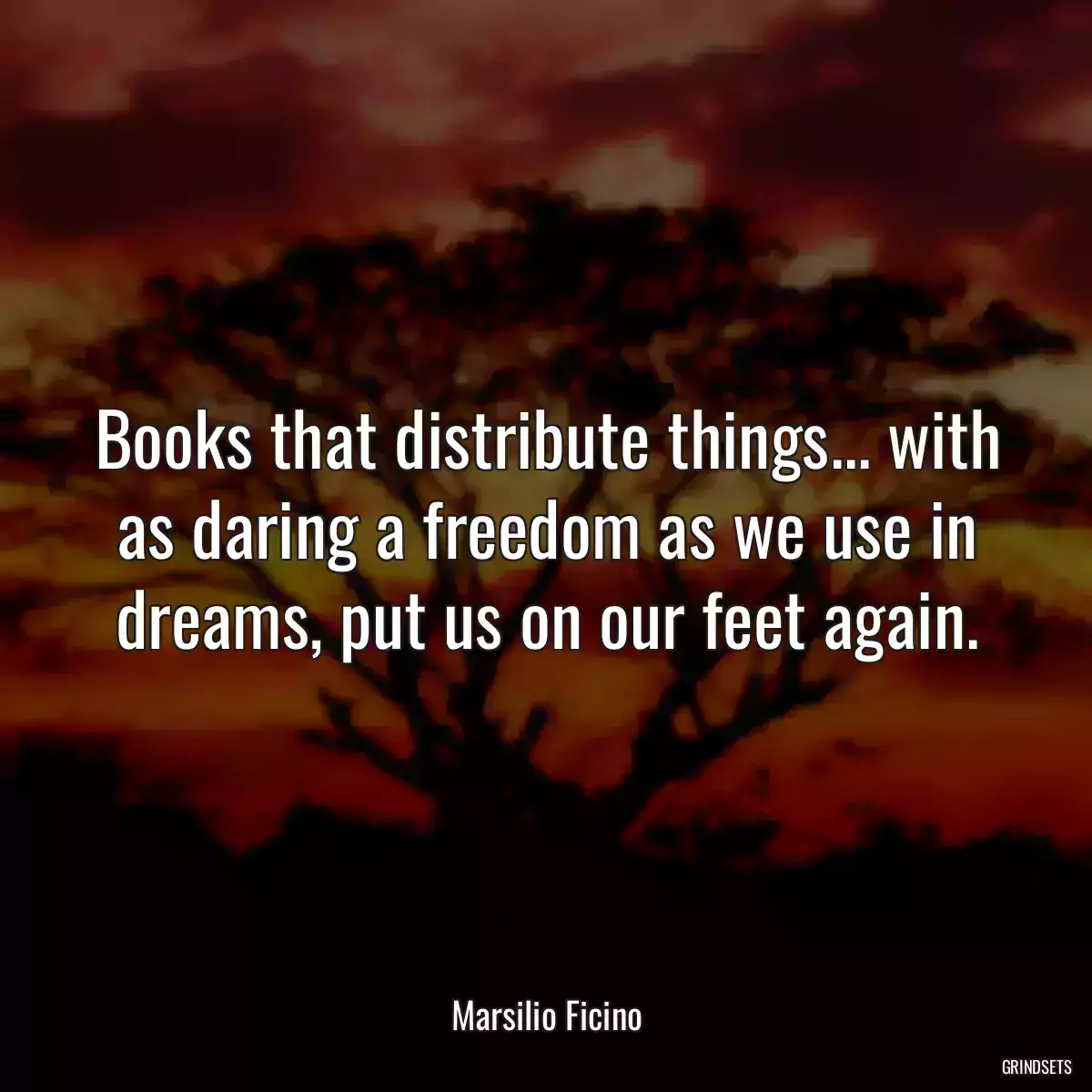 Books that distribute things... with as daring a freedom as we use in dreams, put us on our feet again.