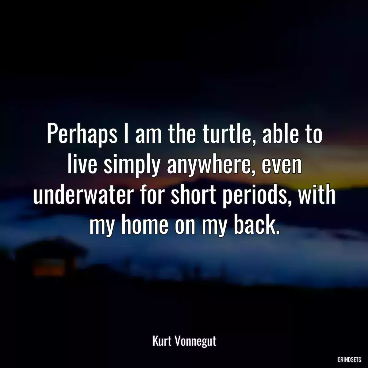 Perhaps I am the turtle, able to live simply anywhere, even underwater for short periods, with my home on my back.