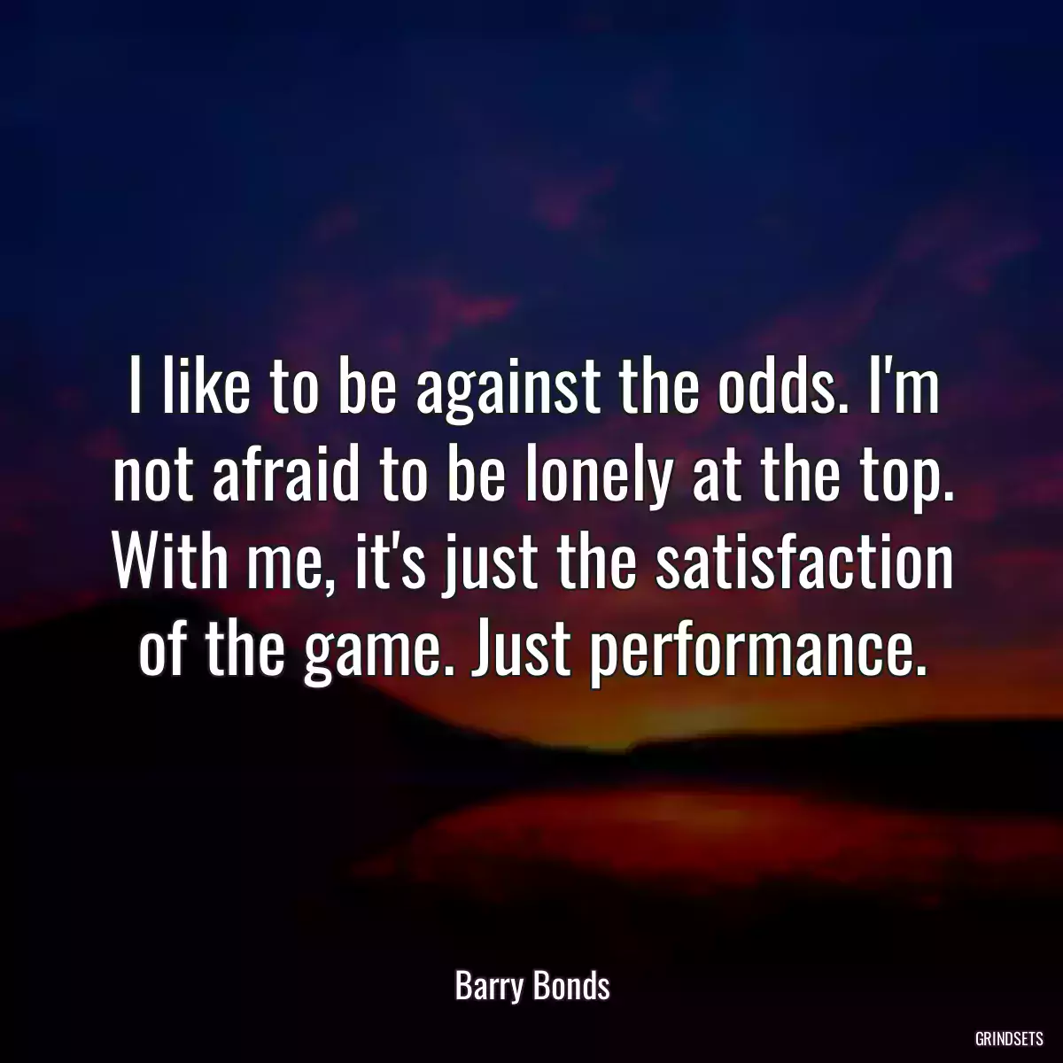 I like to be against the odds. I\'m not afraid to be lonely at the top. With me, it\'s just the satisfaction of the game. Just performance.