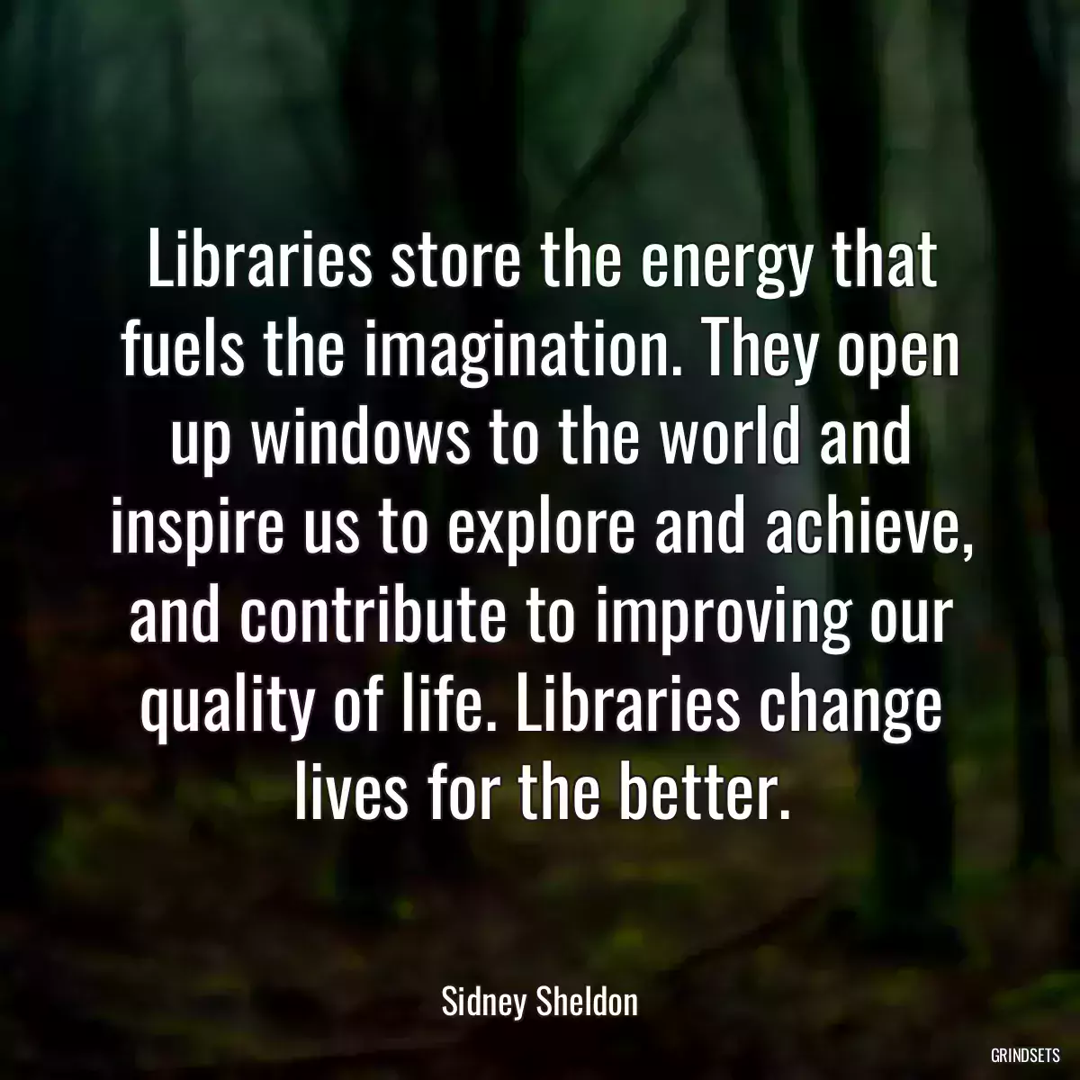 Libraries store the energy that fuels the imagination. They open up windows to the world and inspire us to explore and achieve, and contribute to improving our quality of life. Libraries change lives for the better.