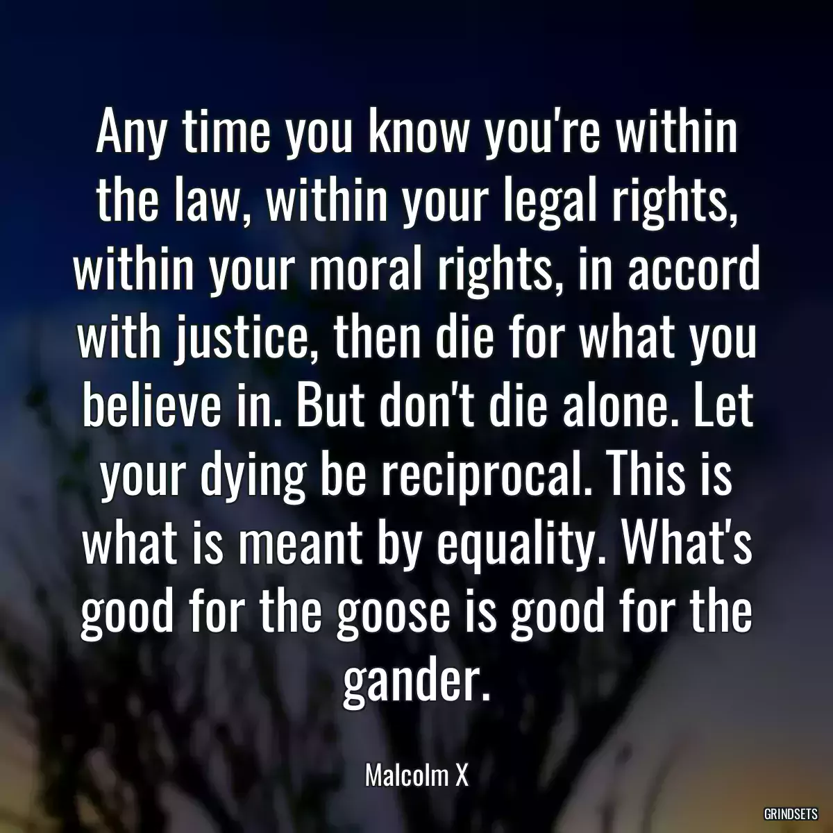 Any time you know you\'re within the law, within your legal rights, within your moral rights, in accord with justice, then die for what you believe in. But don\'t die alone. Let your dying be reciprocal. This is what is meant by equality. What\'s good for the goose is good for the gander.