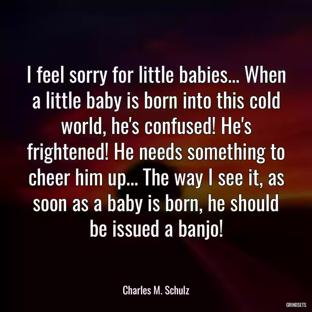 I feel sorry for little babies... When a little baby is born into this cold world, he\'s confused! He\'s frightened! He needs something to cheer him up... The way I see it, as soon as a baby is born, he should be issued a banjo!