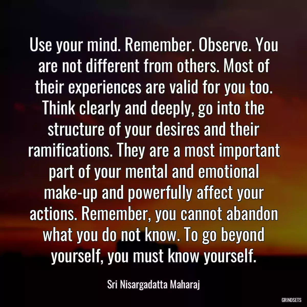 Use your mind. Remember. Observe. You are not different from others. Most of their experiences are valid for you too. Think clearly and deeply, go into the structure of your desires and their ramifications. They are a most important part of your mental and emotional make-up and powerfully affect your actions. Remember, you cannot abandon what you do not know. To go beyond yourself, you must know yourself.