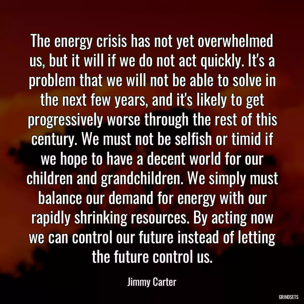 The energy crisis has not yet overwhelmed us, but it will if we do not act quickly. It\'s a problem that we will not be able to solve in the next few years, and it\'s likely to get progressively worse through the rest of this century. We must not be selfish or timid if we hope to have a decent world for our children and grandchildren. We simply must balance our demand for energy with our rapidly shrinking resources. By acting now we can control our future instead of letting the future control us.