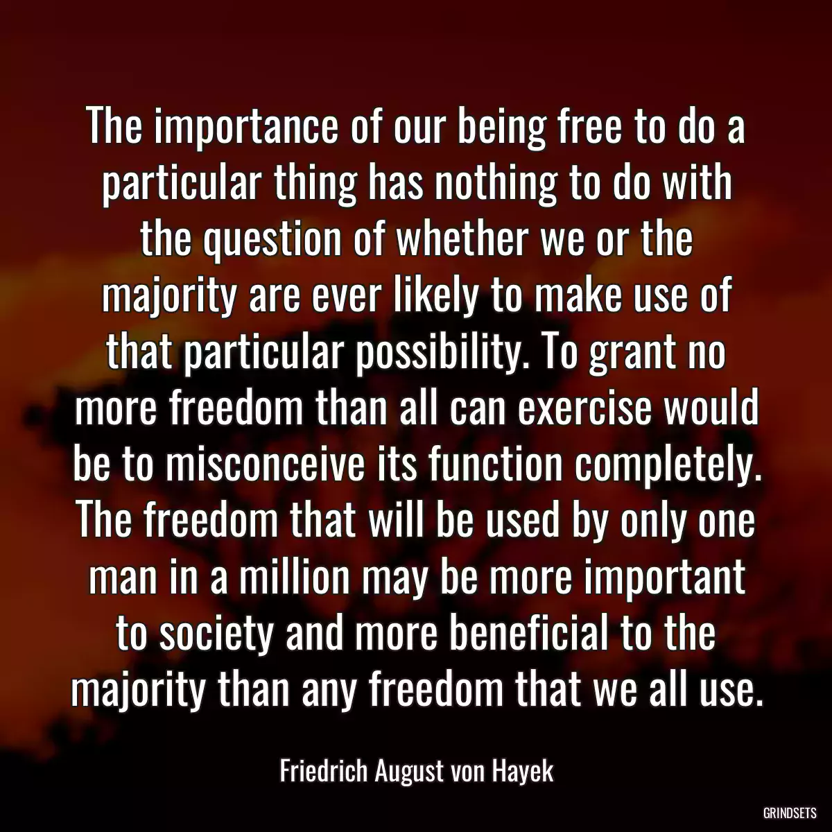 The importance of our being free to do a particular thing has nothing to do with the question of whether we or the majority are ever likely to make use of that particular possibility. To grant no more freedom than all can exercise would be to misconceive its function completely. The freedom that will be used by only one man in a million may be more important to society and more beneficial to the majority than any freedom that we all use.