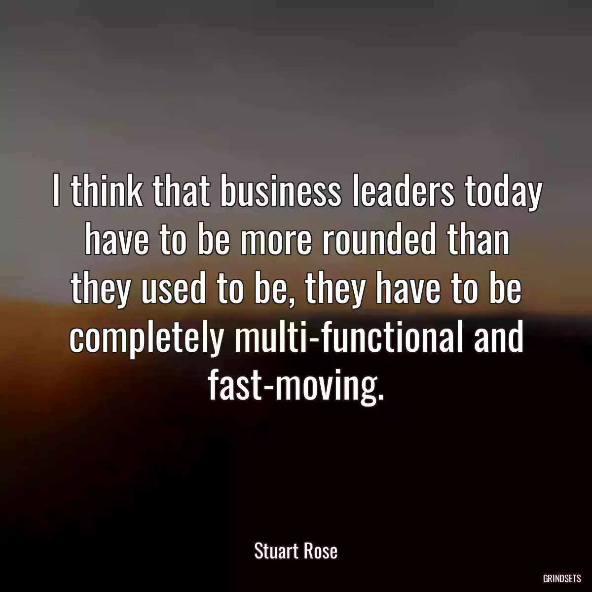 I think that business leaders today have to be more rounded than they used to be, they have to be completely multi-functional and fast-moving.