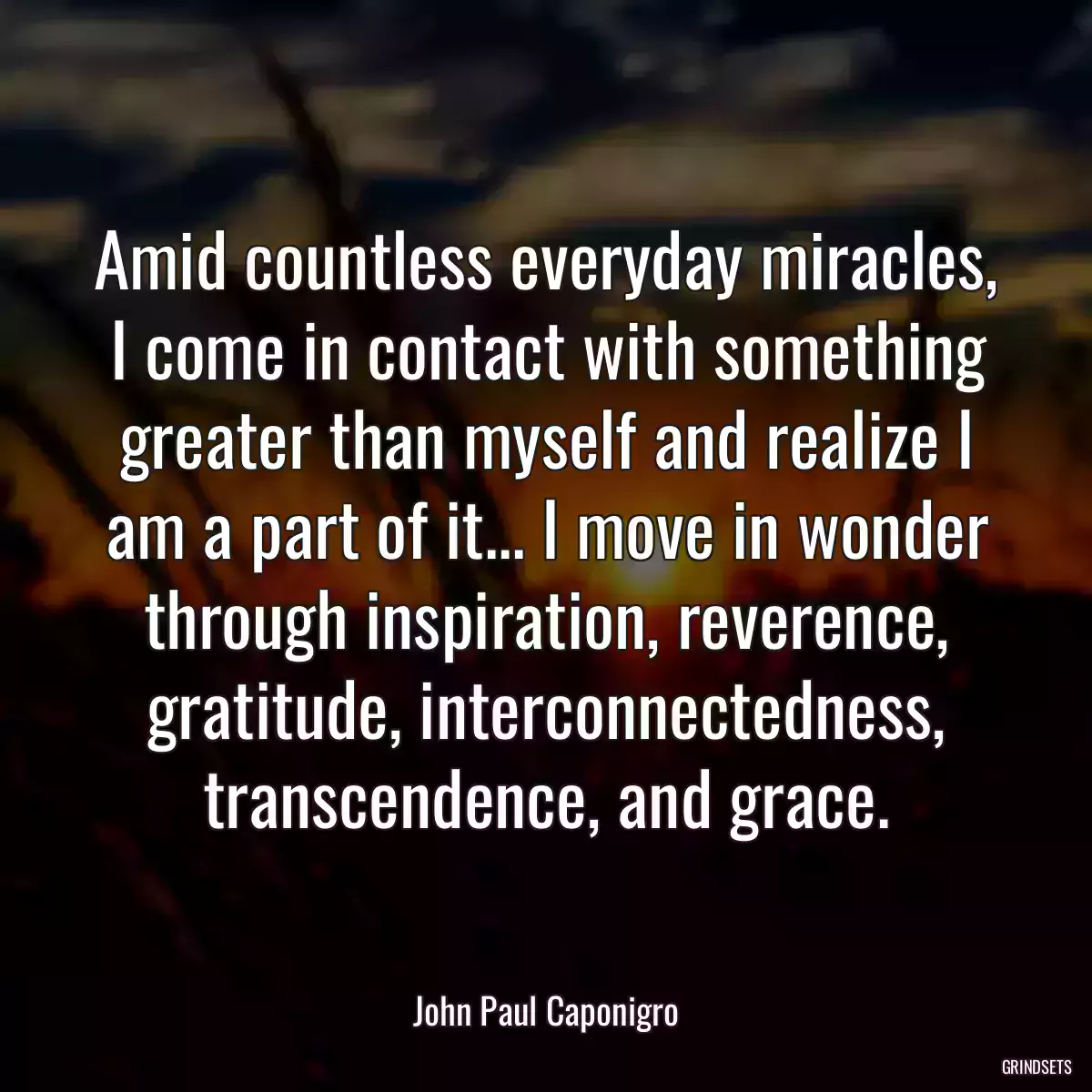 Amid countless everyday miracles, I come in contact with something greater than myself and realize I am a part of it... I move in wonder through inspiration, reverence, gratitude, interconnectedness, transcendence, and grace.