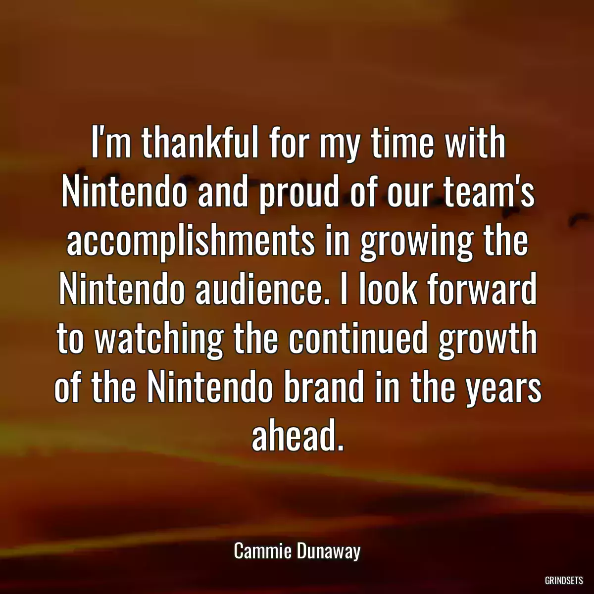 I\'m thankful for my time with Nintendo and proud of our team\'s accomplishments in growing the Nintendo audience. I look forward to watching the continued growth of the Nintendo brand in the years ahead.