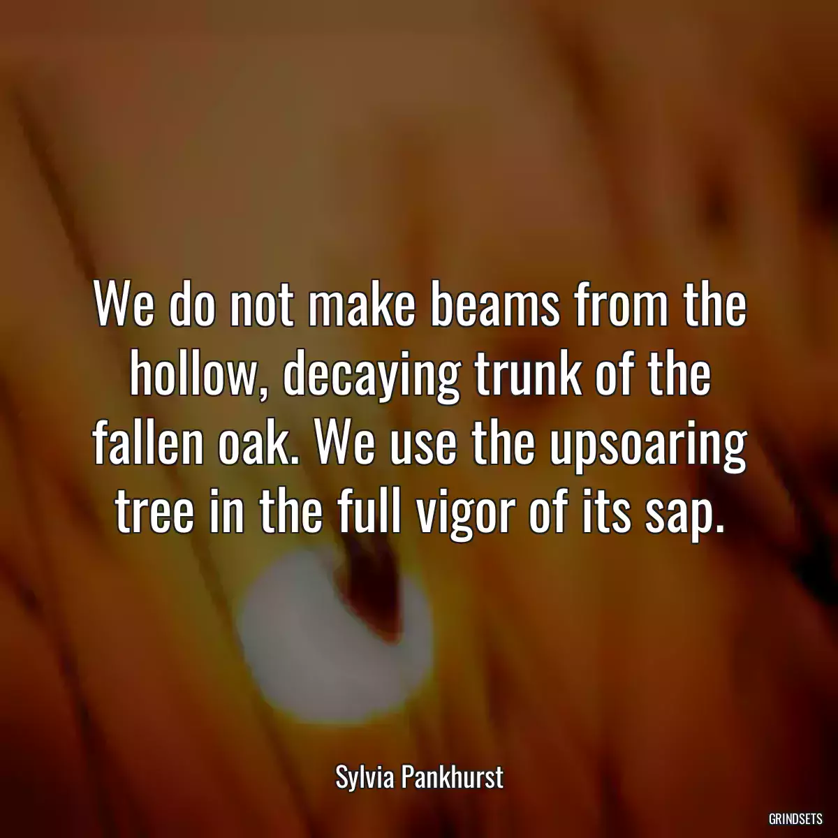 We do not make beams from the hollow, decaying trunk of the fallen oak. We use the upsoaring tree in the full vigor of its sap.