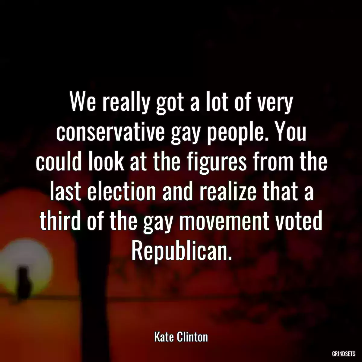 We really got a lot of very conservative gay people. You could look at the figures from the last election and realize that a third of the gay movement voted Republican.