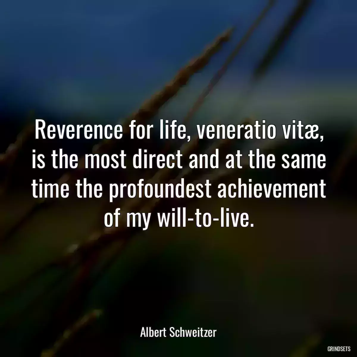 Reverence for life, veneratio vitæ, is the most direct and at the same time the profoundest achievement of my will-to-live.