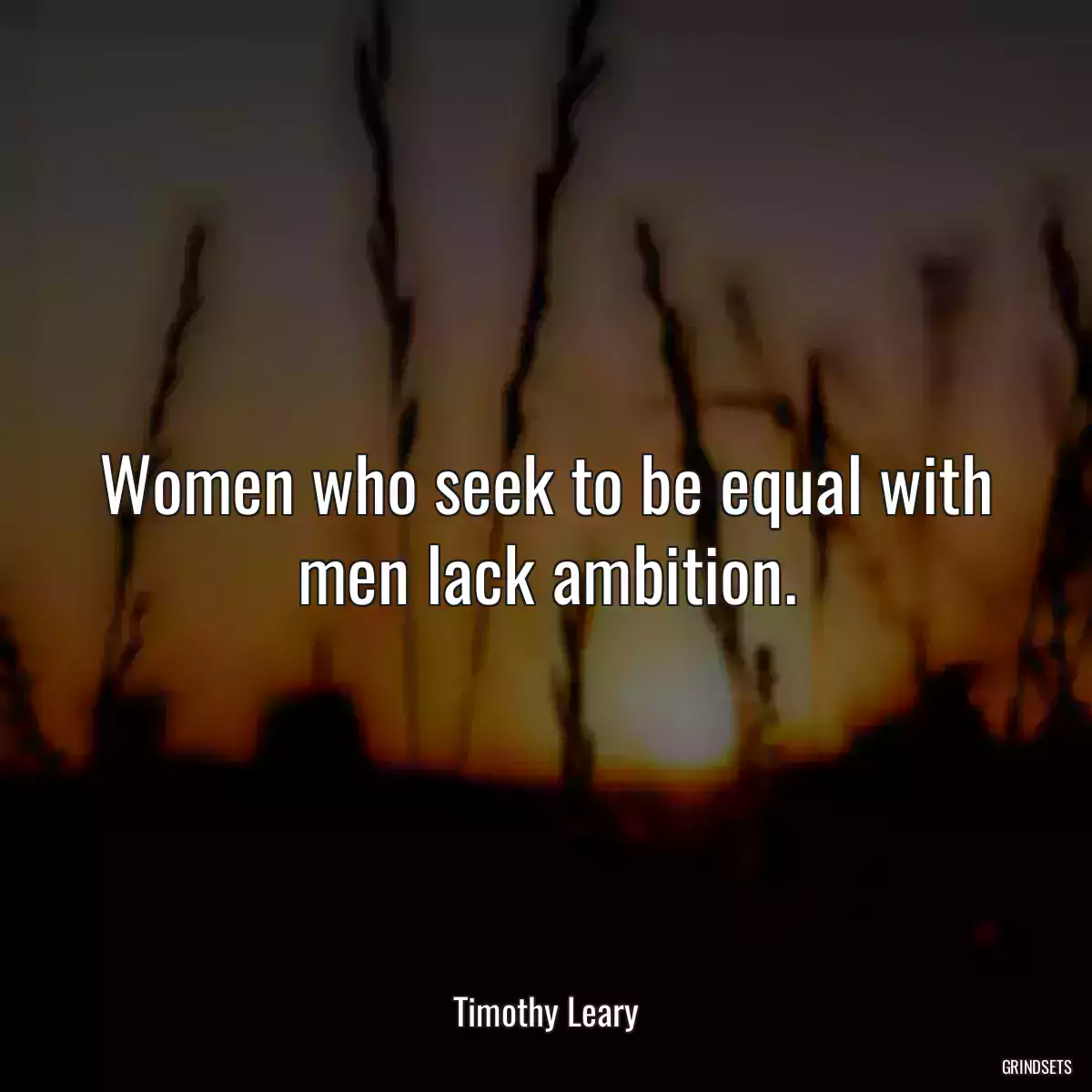 Women who seek to be equal with men lack ambition.