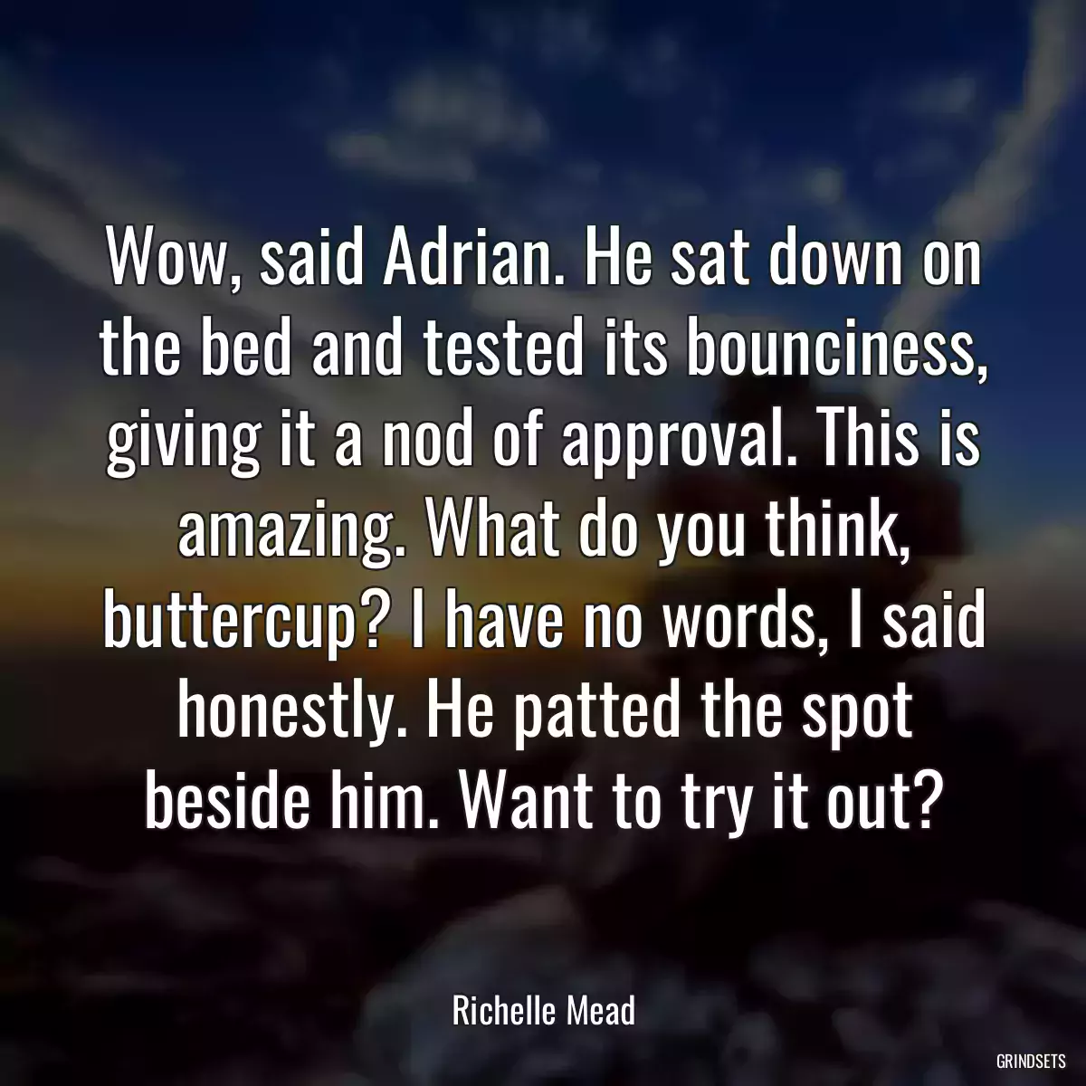 Wow, said Adrian. He sat down on the bed and tested its bounciness, giving it a nod of approval. This is amazing. What do you think, buttercup? I have no words, I said honestly. He patted the spot beside him. Want to try it out?