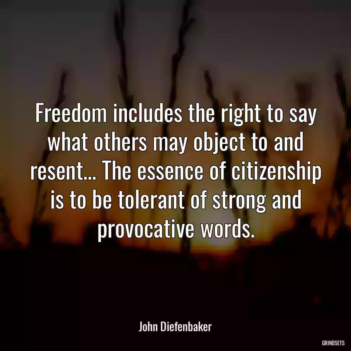 Freedom includes the right to say what others may object to and resent... The essence of citizenship is to be tolerant of strong and provocative words.