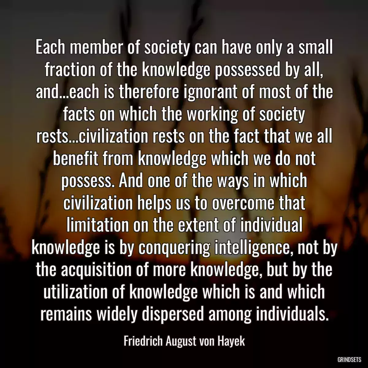 Each member of society can have only a small fraction of the knowledge possessed by all, and...each is therefore ignorant of most of the facts on which the working of society rests...civilization rests on the fact that we all benefit from knowledge which we do not possess. And one of the ways in which civilization helps us to overcome that limitation on the extent of individual knowledge is by conquering intelligence, not by the acquisition of more knowledge, but by the utilization of knowledge which is and which remains widely dispersed among individuals.