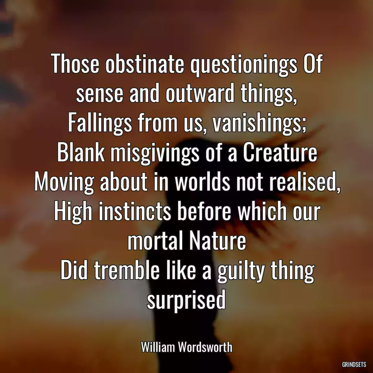 Those obstinate questionings Of sense and outward things,
Fallings from us, vanishings;
Blank misgivings of a Creature
Moving about in worlds not realised,
High instincts before which our mortal Nature
Did tremble like a guilty thing surprised