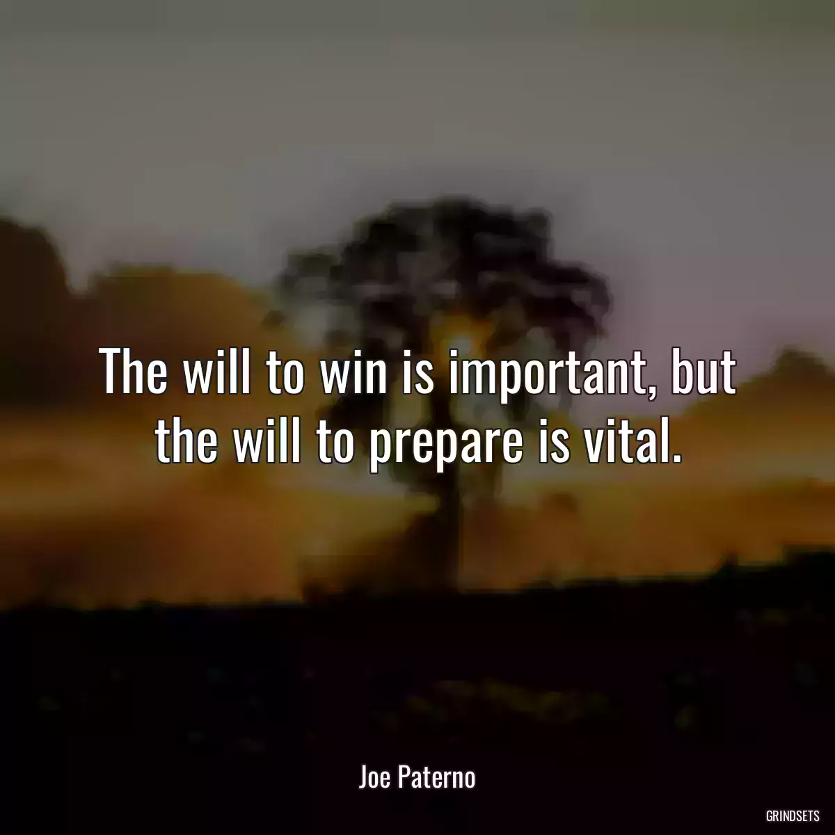 The will to win is important, but the will to prepare is vital.