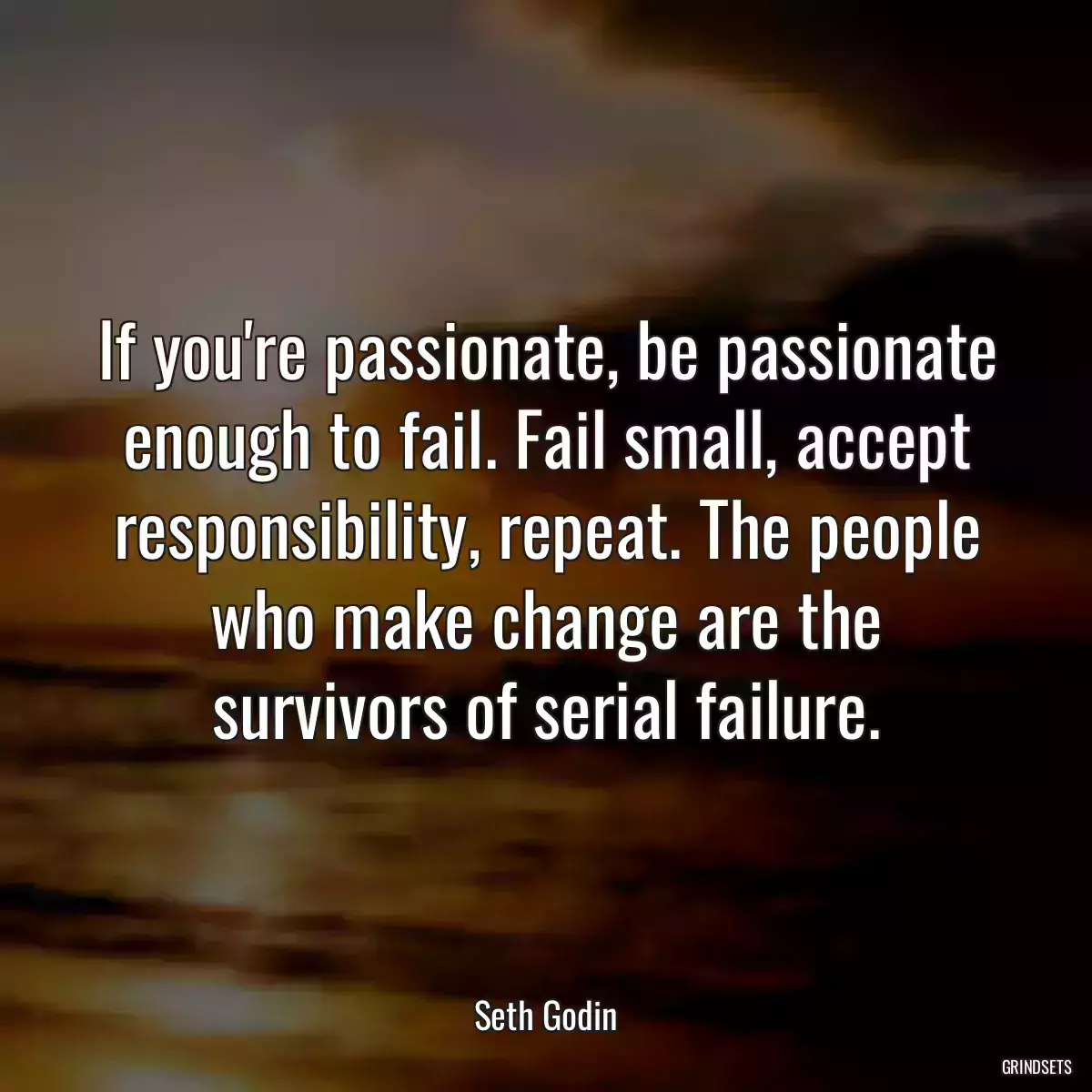 If you\'re passionate, be passionate enough to fail. Fail small, accept responsibility, repeat. The people who make change are the survivors of serial failure.