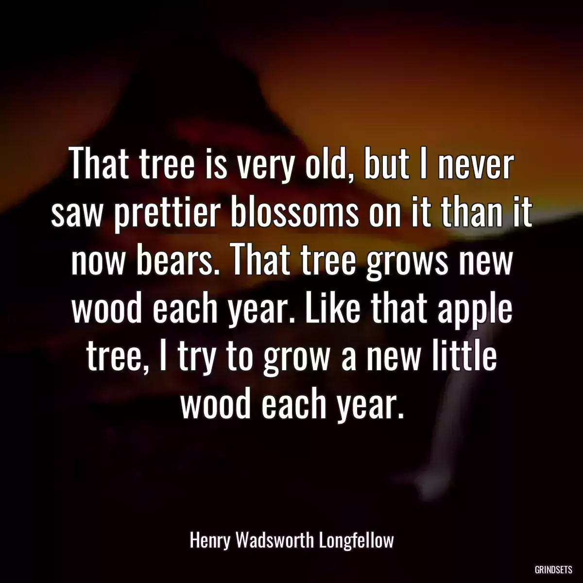 That tree is very old, but I never saw prettier blossoms on it than it now bears. That tree grows new wood each year. Like that apple tree, I try to grow a new little wood each year.