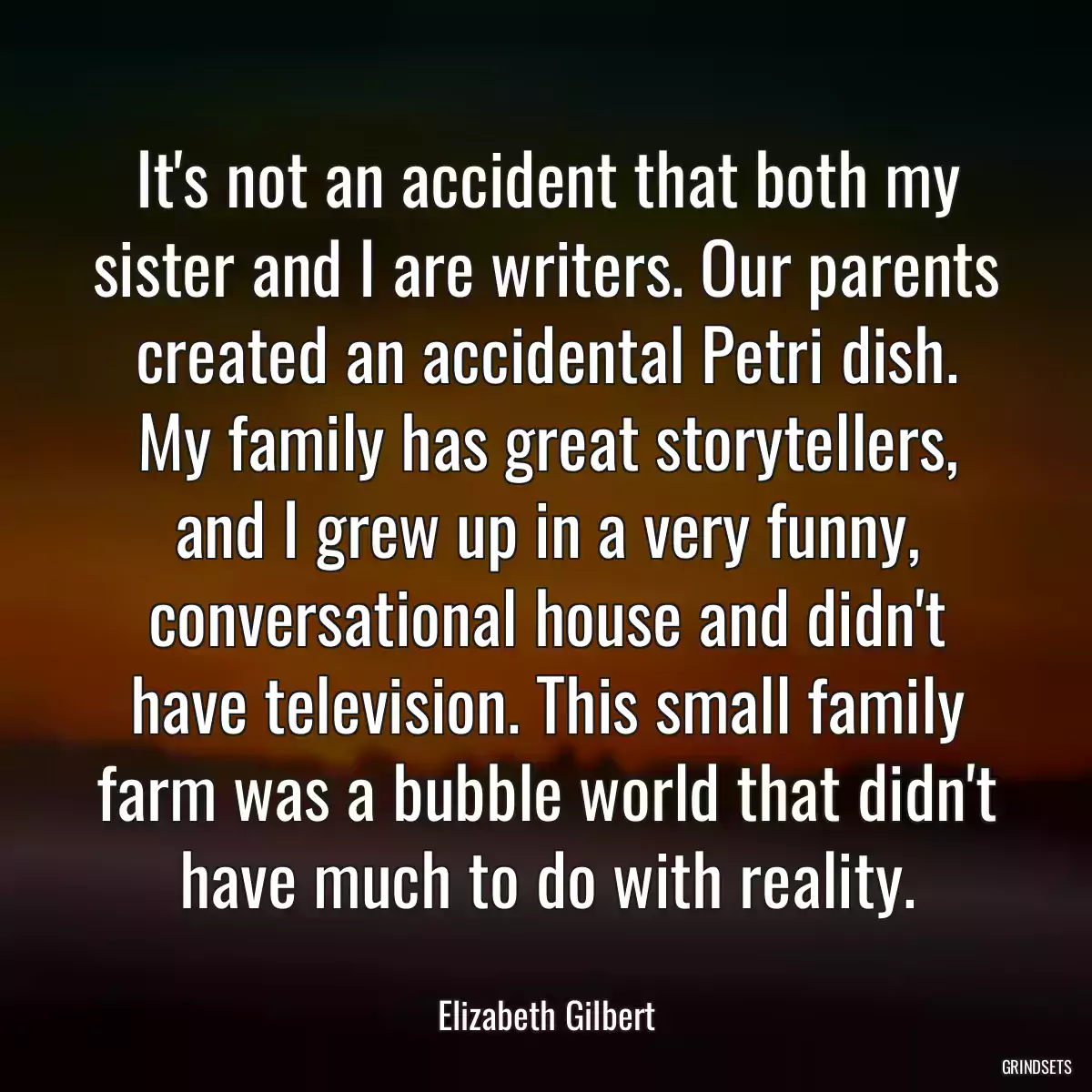 It\'s not an accident that both my sister and I are writers. Our parents created an accidental Petri dish. My family has great storytellers, and I grew up in a very funny, conversational house and didn\'t have television. This small family farm was a bubble world that didn\'t have much to do with reality.