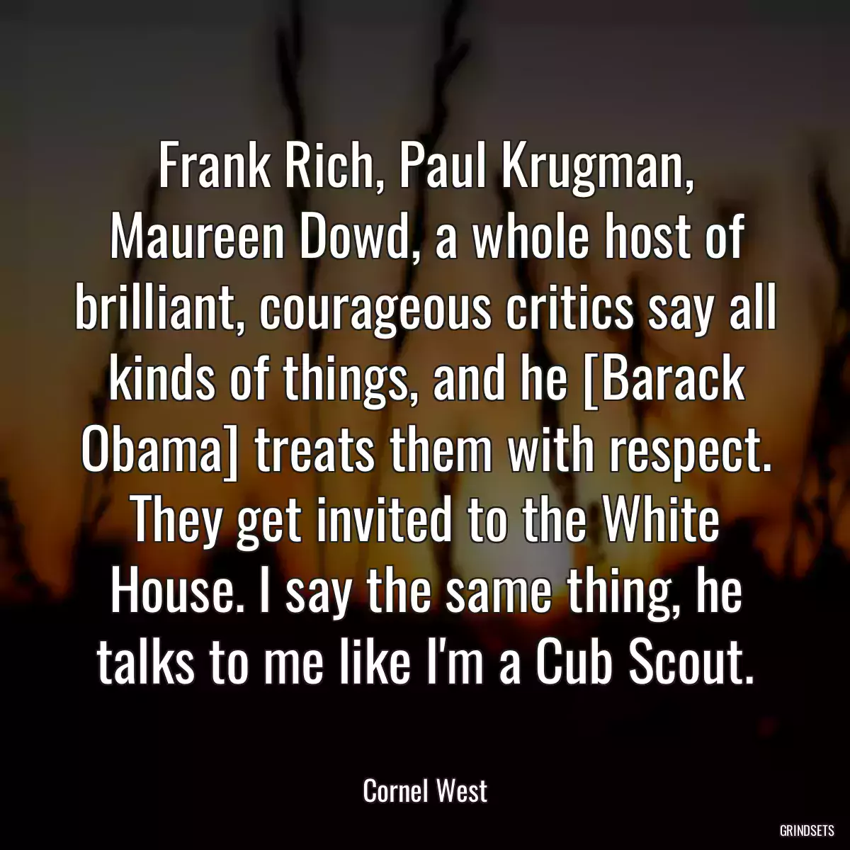 Frank Rich, Paul Krugman, Maureen Dowd, a whole host of brilliant, courageous critics say all kinds of things, and he [Barack Obama] treats them with respect. They get invited to the White House. I say the same thing, he talks to me like I\'m a Cub Scout.