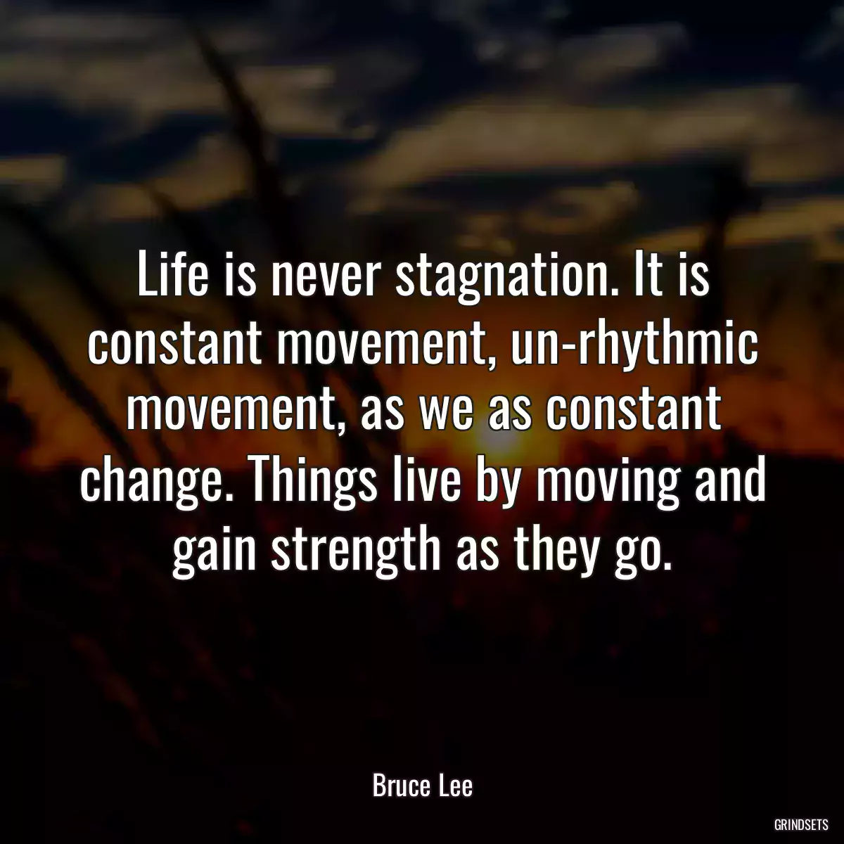 Life is never stagnation. It is constant movement, un-rhythmic movement, as we as constant change. Things live by moving and gain strength as they go.
