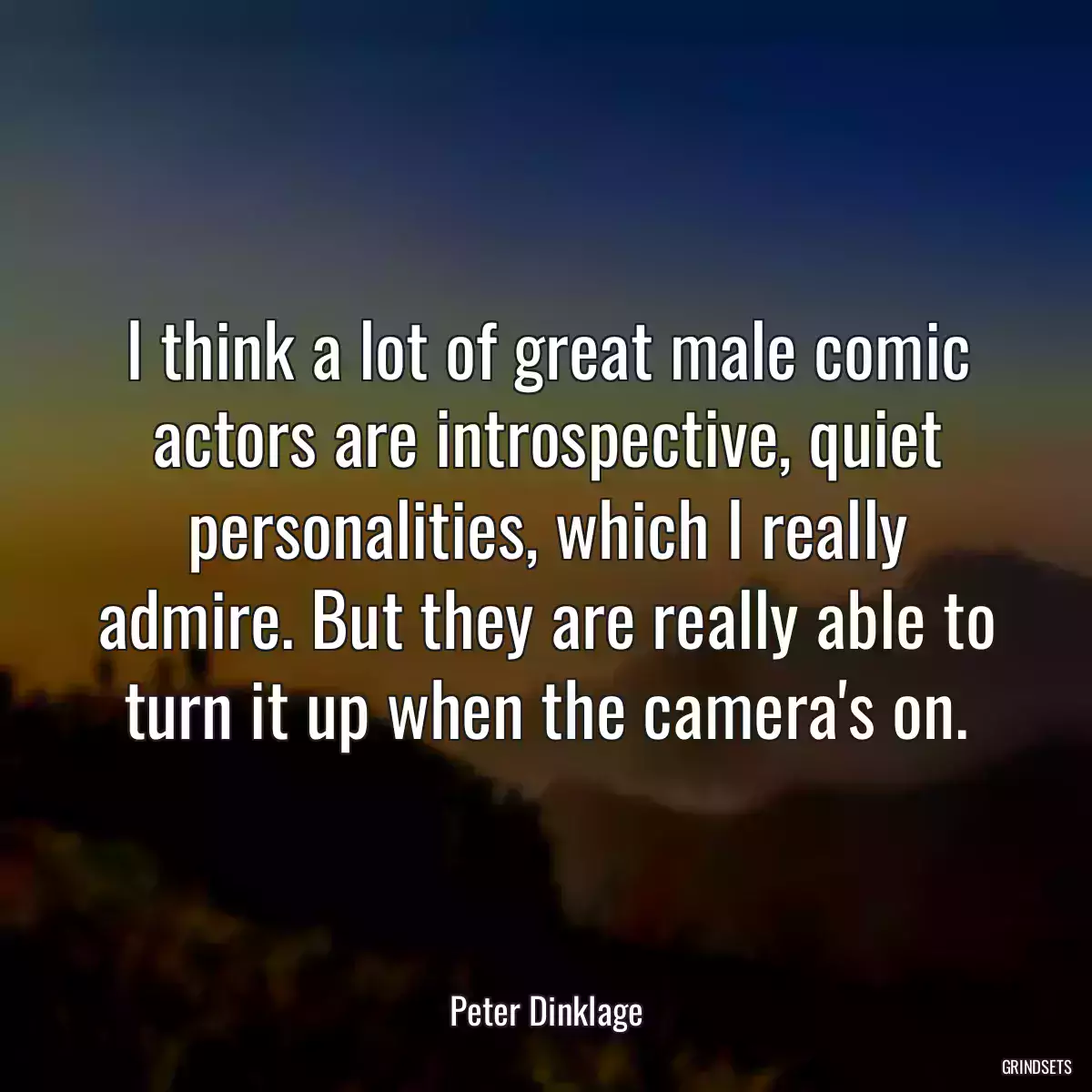 I think a lot of great male comic actors are introspective, quiet personalities, which I really admire. But they are really able to turn it up when the camera\'s on.