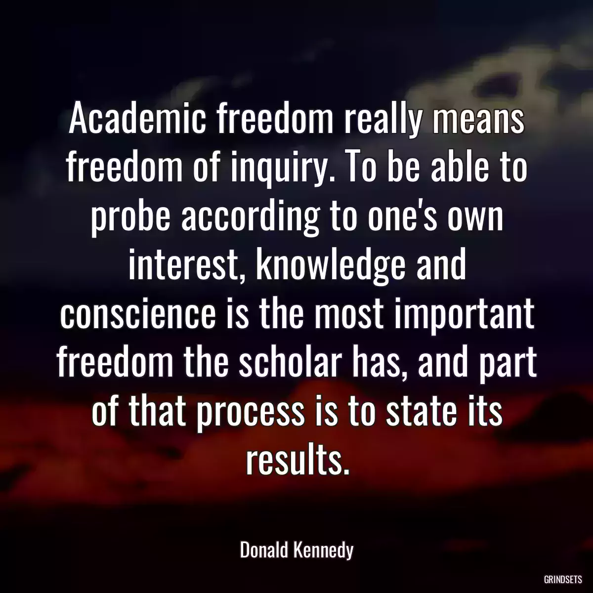 Academic freedom really means freedom of inquiry. To be able to probe according to one\'s own interest, knowledge and conscience is the most important freedom the scholar has, and part of that process is to state its results.