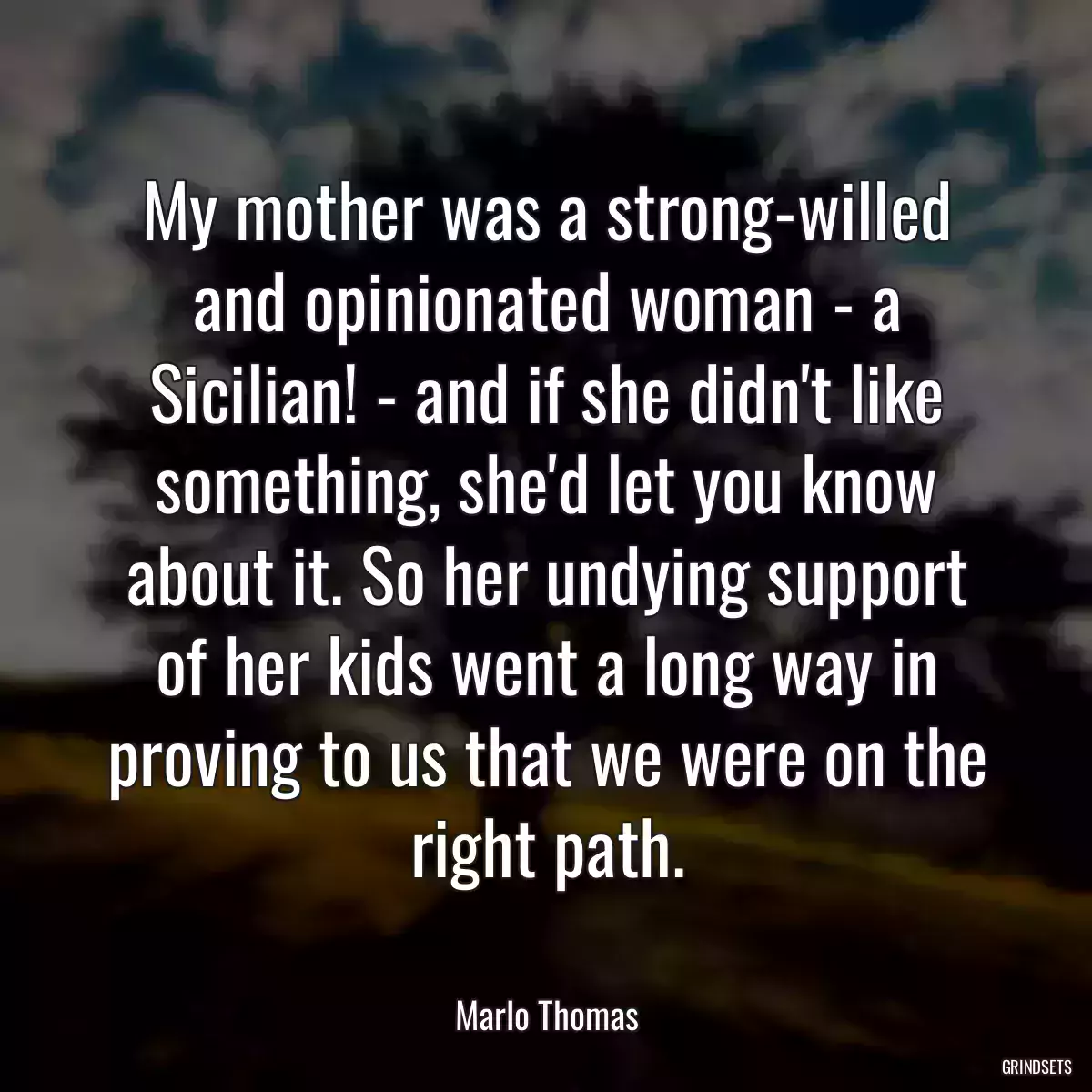 My mother was a strong-willed and opinionated woman - a Sicilian! - and if she didn\'t like something, she\'d let you know about it. So her undying support of her kids went a long way in proving to us that we were on the right path.