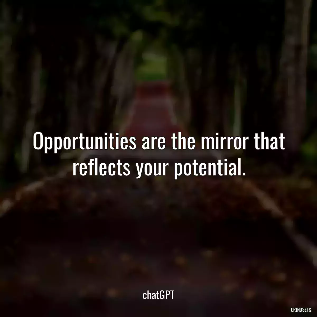 Opportunities are the mirror that reflects your potential.
