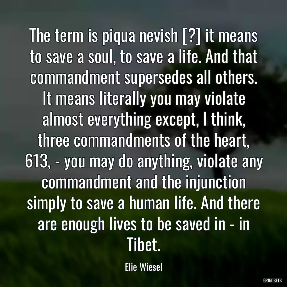 The term is piqua nevish [?] it means to save a soul, to save a life. And that commandment supersedes all others. It means literally you may violate almost everything except, I think, three commandments of the heart, 613, - you may do anything, violate any commandment and the injunction simply to save a human life. And there are enough lives to be saved in - in Tibet.