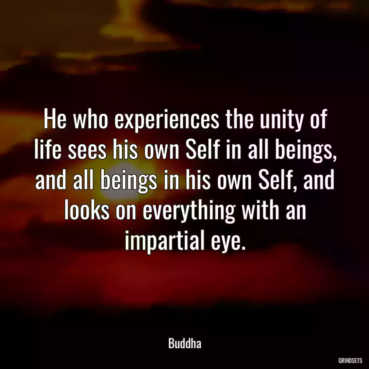 He who experiences the unity of life sees his own Self in all beings, and all beings in his own Self, and looks on everything with an impartial eye.