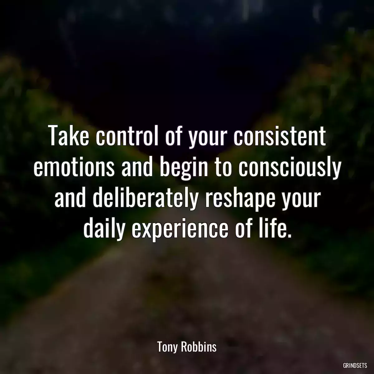 Take control of your consistent emotions and begin to consciously and deliberately reshape your daily experience of life.