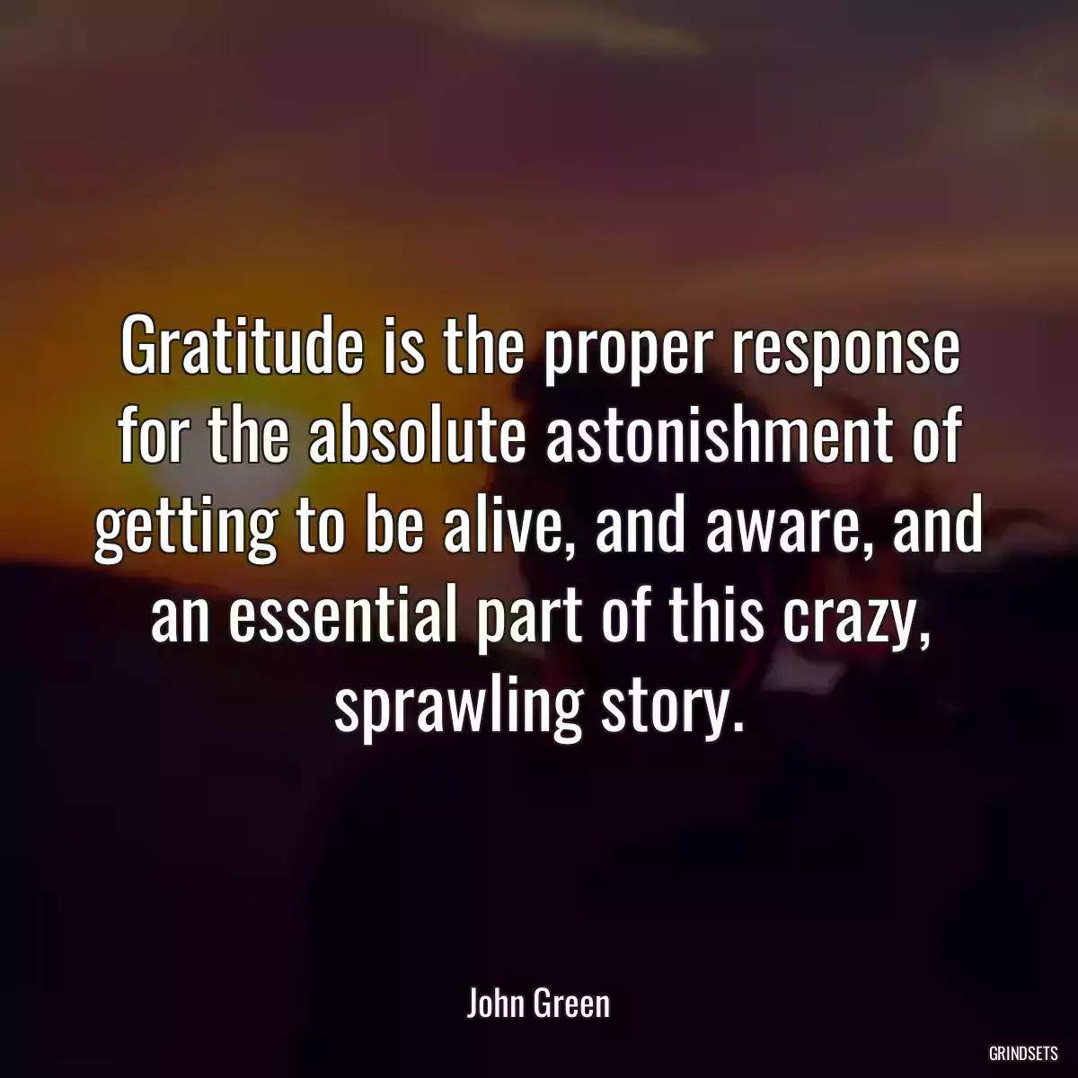 Gratitude is the proper response for the absolute astonishment of getting to be alive, and aware, and an essential part of this crazy, sprawling story.