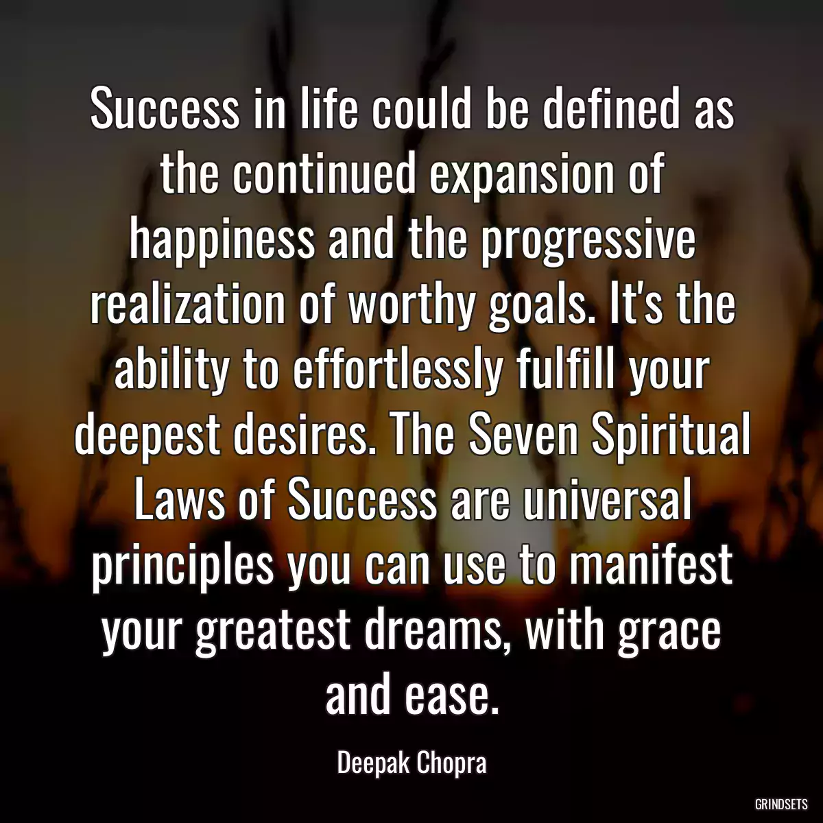 Success in life could be defined as the continued expansion of happiness and the progressive realization of worthy goals. It\'s the ability to effortlessly fulfill your deepest desires. The Seven Spiritual Laws of Success are universal principles you can use to manifest your greatest dreams, with grace and ease.