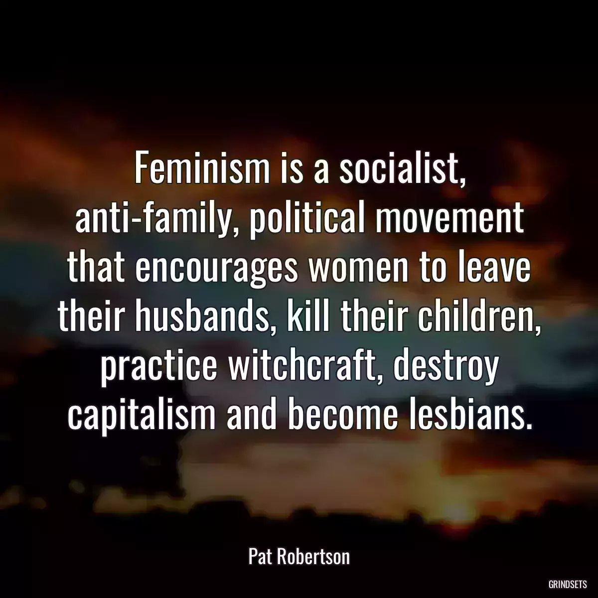 Feminism is a socialist, anti-family, political movement that encourages women to leave their husbands, kill their children, practice witchcraft, destroy capitalism and become lesbians.